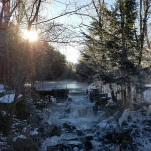 Meet your Posher, Patti